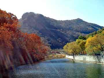 正版澳门天天开彩大全，山西焦炭价格